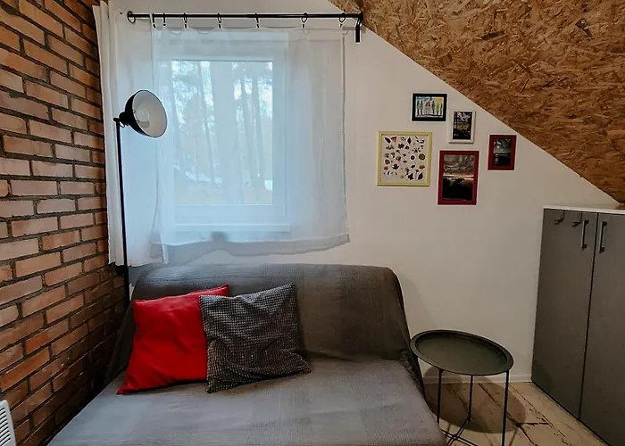 Cudnie Tu - Orman Evi Borsk