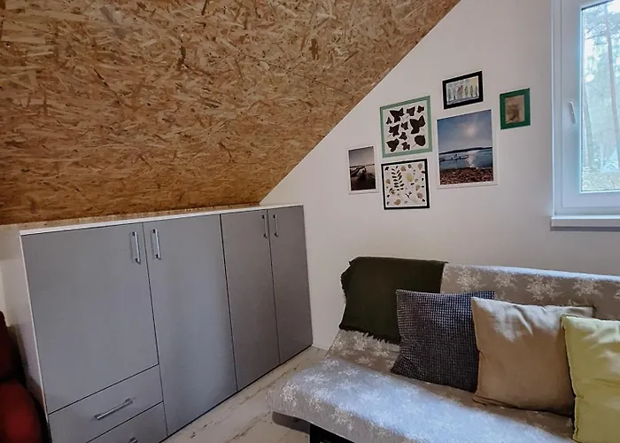 Cudnie Tu - Orman Evi Borsk