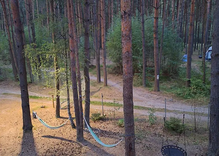 Orman Evi Cudnie Tu - *