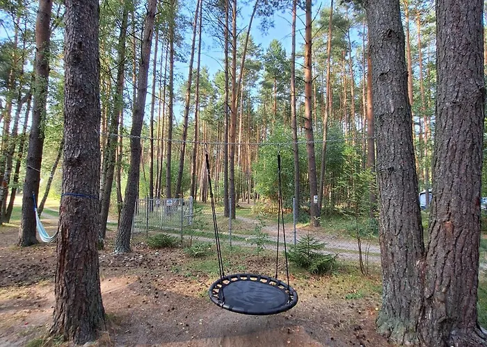 Orman Evi Cudnie Tu - Borsk