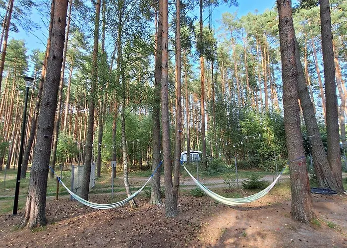 Orman Evi Cudnie Tu -