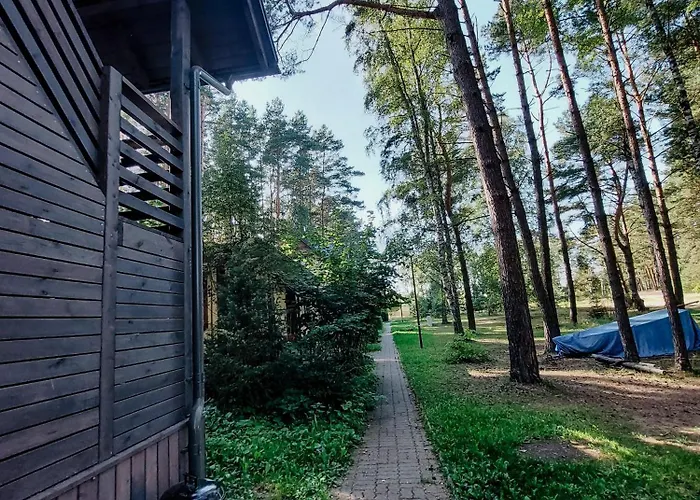 Cudnie Tu - Orman Evi *