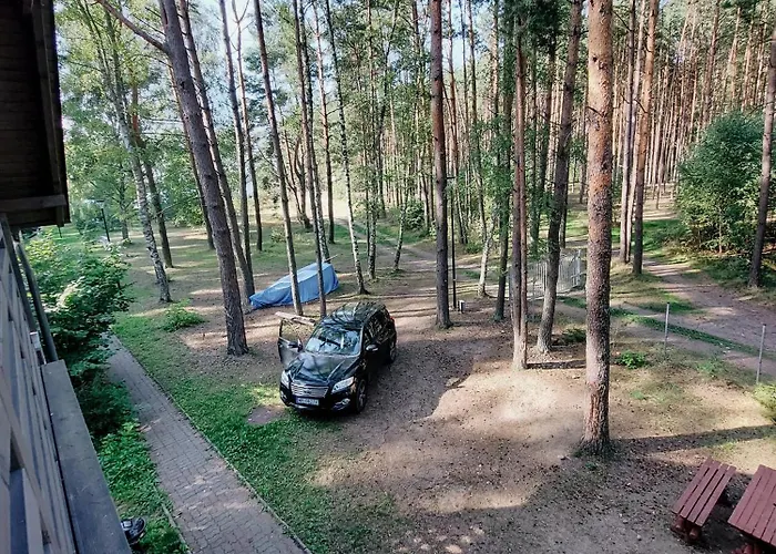 Orman Evi Cudnie Tu - *